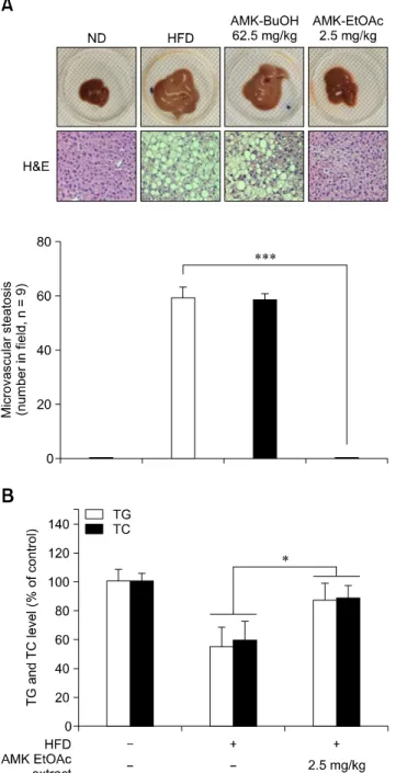 Fig. 1. Effects of EtOAc extract of AMK on non-alcoholic  steatohepatitis (NASH) in mice
