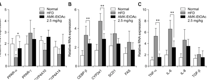 Fig. 4. Effects of HFD and treatment with EtOAc extract of AMK on hepatic mRNA expression