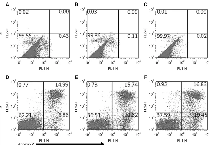 Fig. 5. Effect of MSC on apoptosis of allogeneic lymphocytes following co-culture at ratios of 1 : 1 and 1 : 5 for 3 days