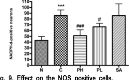 Fig.  9.  Effect  on  the  NOS  positive  cells. 