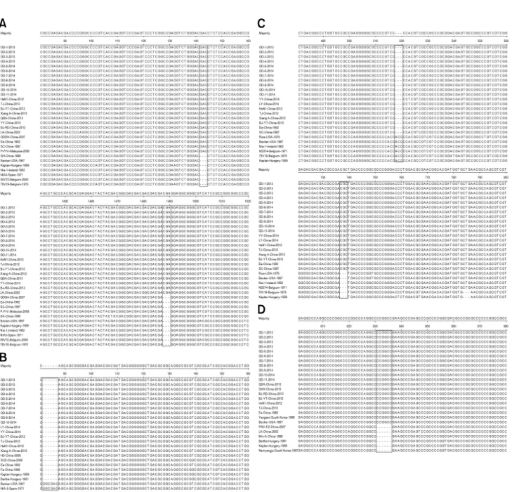 Fig. 1. Alignment of gE (A), PK (B), gI (C) and gD (D) genes of pseudorabies virus at the nucleotide level