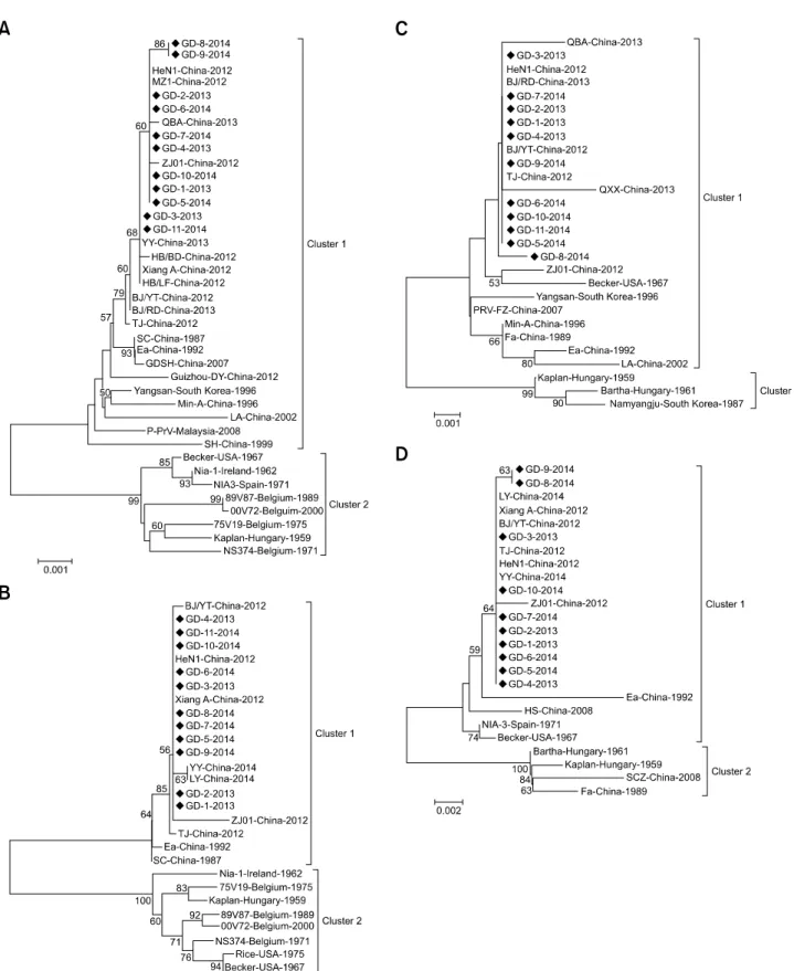 Fig. 2. Phylogenetic trees for gE (A), gI (B), gD (C) and PK (D) genes. Only bootstrap values greater than 50 are shown