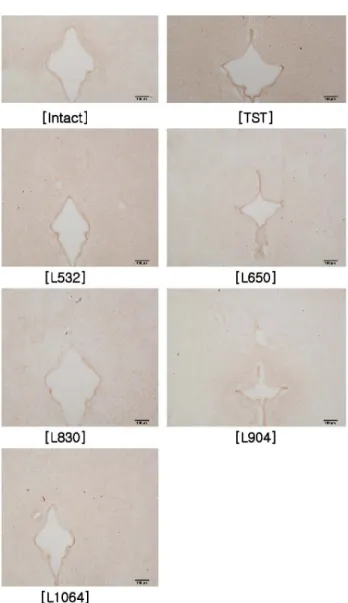 Fig.  9.  Effect  of  laser  acupuncture  treatment  according  to  wave- wave-length  on  the  WBC  in  pain  model  rat  induced  tibial  and  sural  nerve transection(TST).