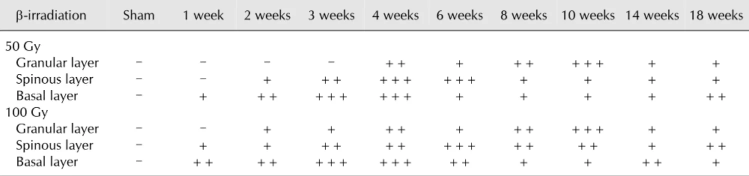 Table 1. Immunohistochemical staining for COX-2 in various epidermal layers of pig skin after treatment with either 50 or 100 Gy of 