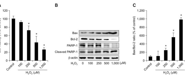 Fig. 1. Effect of hydrogen peroxide (H 2 O 2 ) on the viability of primary cultured mouse hepatocytes