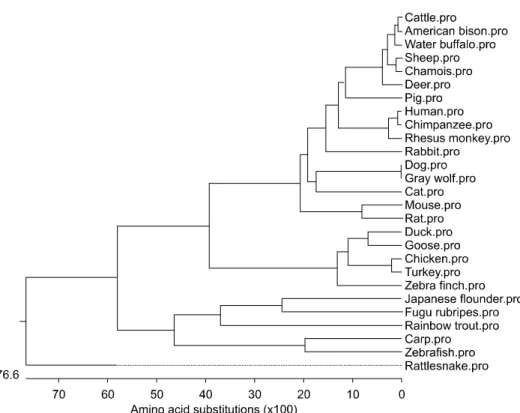 Fig. 2. Phylogeneticanalysis of TLR5. Aneighbor-joining (NJ) tree was constructed using MegAlign