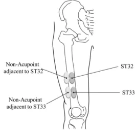 Fig.  3.  Measurement  sites.