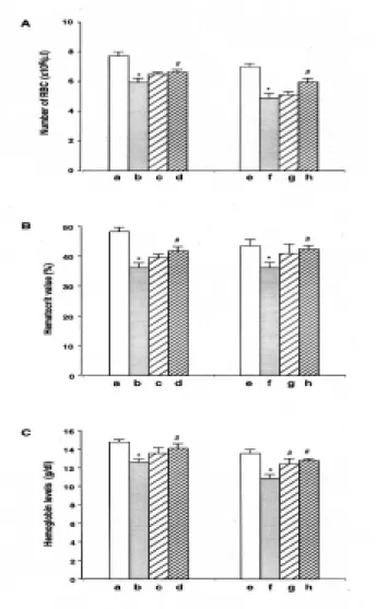 Fig. 1. Effect  of  oral  administration  of  aqueous  extracts  of Fructus schisandrae on the red blood cell (RBC)  count,  hematocrit  value,  and  hemoglobin  content