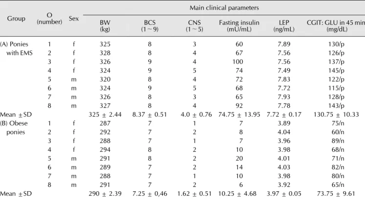 Table 1. Criteria for dividing the ponies into the experimental (A) and control (B) groups