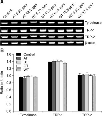 Fig. 5. Effect of the tea extracts on mRNA expression of tyrosinase,  TRP-1, and TRP-2 in melan-A cells