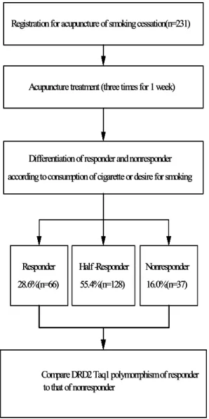 Fig.  1  The  procedure  of  experiment Registration for acupuncture of smoking cessation(n=231)
