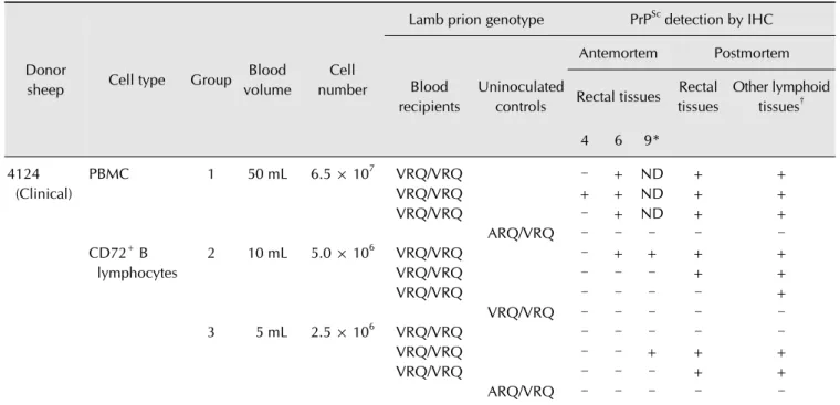 Table 1. Intravenous transfusion of lambs with PBMCs and CD72 +  B lymphocytes prepared from a clinically affected sheep naturally  infected with classical scrapie