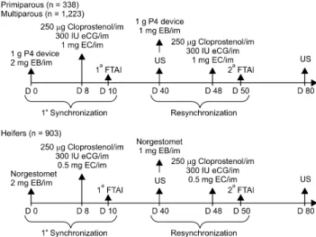 Fig. 1. Design of hormonal treatments used for fixed-time  artificial insemination (FTAI) and estrus resynchronization in  Nelore heifers, primiparous and multiparous lactating cows