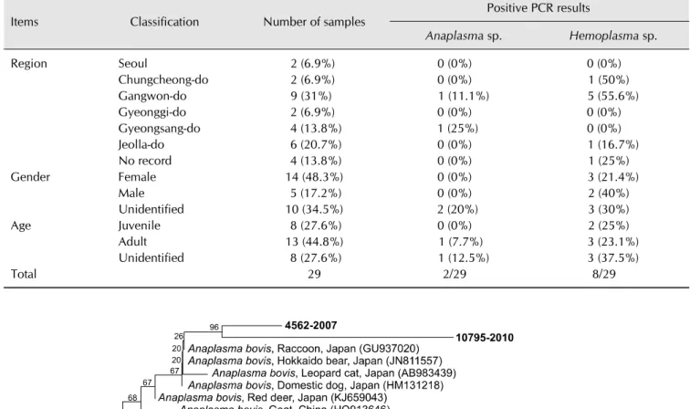 Fig. 1. Phylogenetic tree of the partial 16S rRNA gene sequences of Anaplasma (A.) bovis isolated from this study (bold font) and other related Anaplasma spp