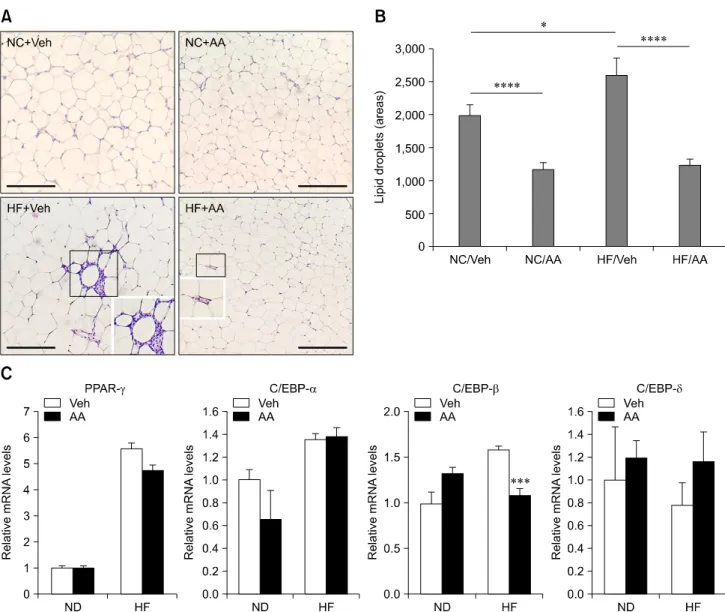 Fig. 3. Anti-adipogenesis effects of AA extract in vivo. (A and B) H&amp;E staining of fat tissue and statistical analysis