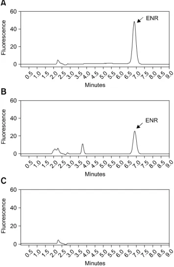 Fig. 3. High-performance liquid chromatography chromatogram of ENR. (A) Standard sample: MeOH in distilled water (DW)  contai-ning 25 ng/mL ENR