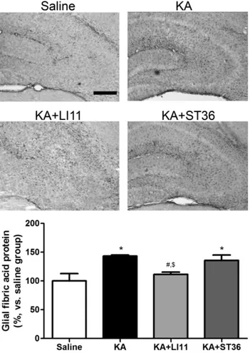 Fig.  2.  The  effects  of  acupuncture  on  kainic  acid(KA)-induced  cell death  in  the  CA3  region  of  the  hippocampus