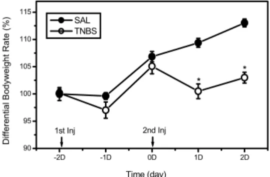 Fig. 1. Effects  of  TNBS  injection  into  the  colon  on  body  weight  in  rats. 