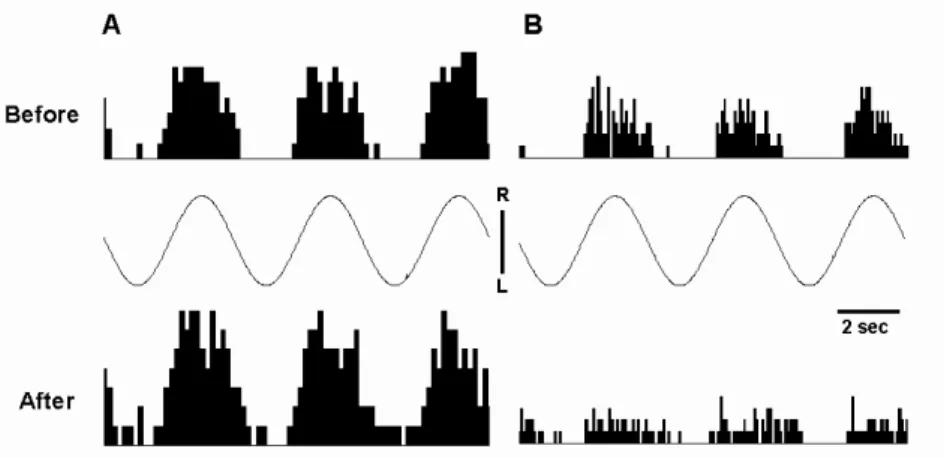 Fig.  2. Relative changes in gain of type I &amp; II neurons showing different type following electrical stimulation (ES) to left GB43 in MVN