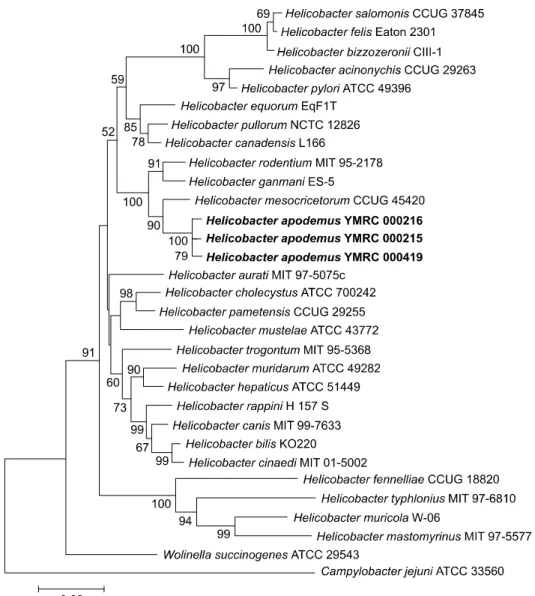 Fig. 2. Phylogenetic tree of strains isolated in this study and members of other genera generated using the neighbor-joining method.