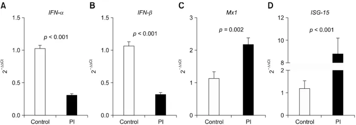 Fig. 3. Expression of mRNA encoding (A) IFN-  , (B) IFN-  , (C) MX1, and (D) ISG-15 in PBMCs collected from healthy and PI cattle based on quantitative real-time PCR