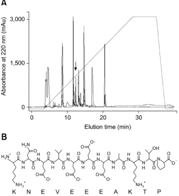 Fig. 1. Purification of bursal peptide BP-IV. (A) The bursal  extracts from healthy young chickens were purified by  reversed-phase high-performance liquid chromatography  (RP-HPLC) on a 4.6  250 mm SinoChrom ODS-BP (Eliteplc,  China) RP-HPLC affinity co