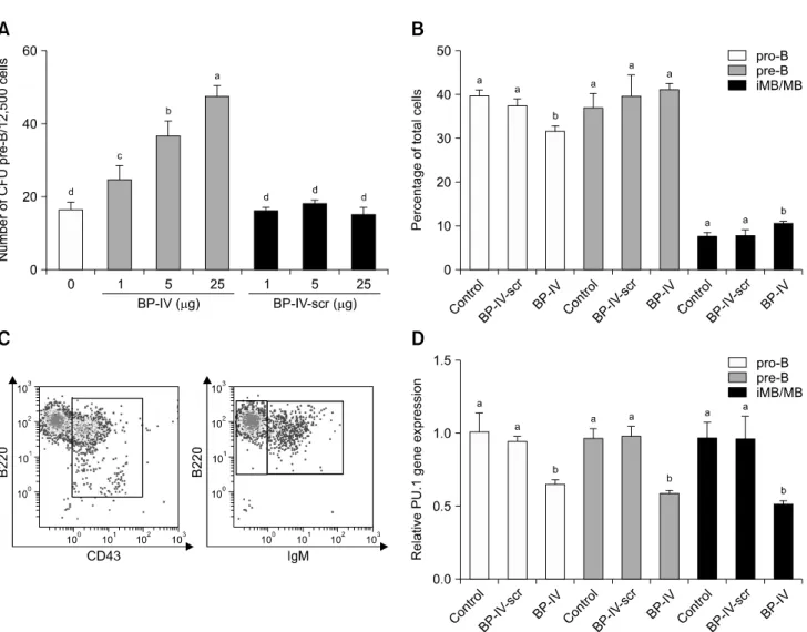 Fig. 2. BP-IV modulates B cell development. (A) Bone marrow cells were plated in 35-mm dishes at 2.5 10 4 /mL in methycellulose medium