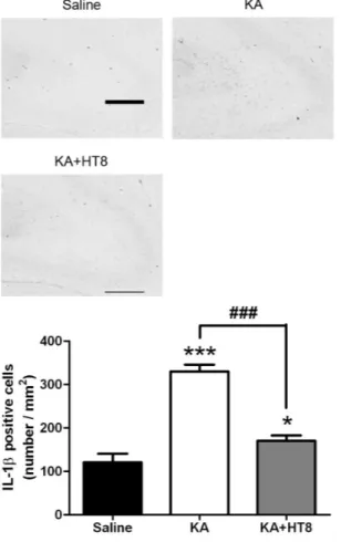 Fig. 4. The effects of acupuncture on kainic acid  (KA)-induced astrocyte expression in the CA3 of  the hippocampus