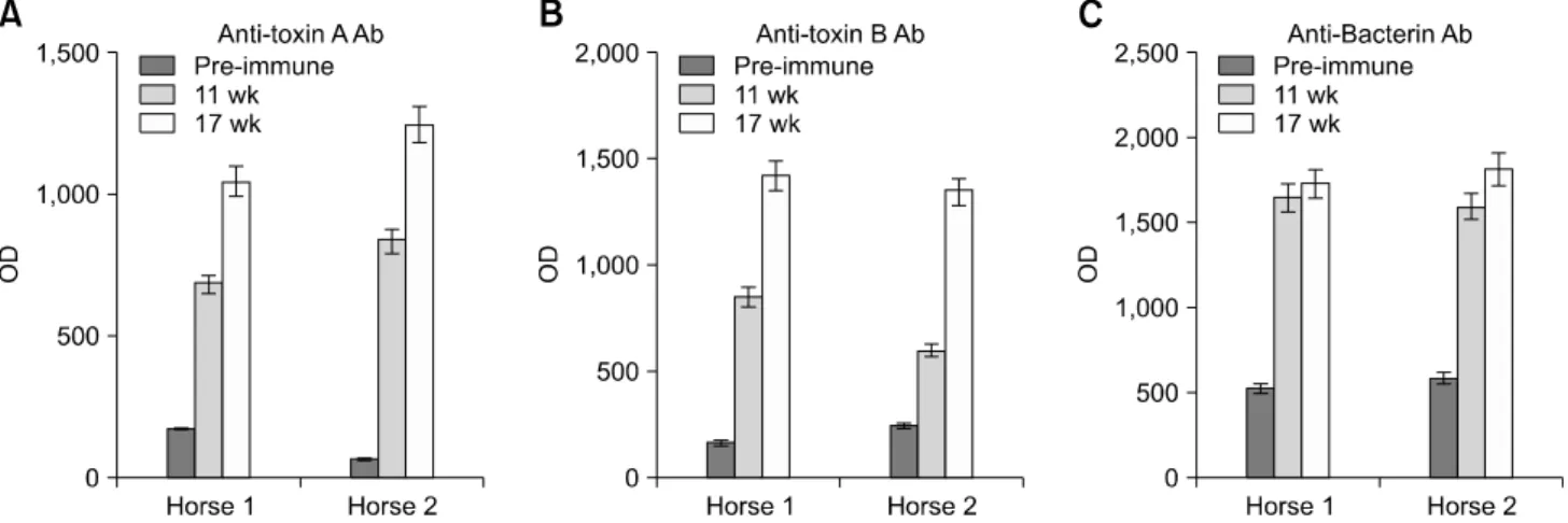 Fig. 3. Toxin-neutralizing activity of the prepared antitoxin  serum. (A) Photomicrograph of a Caco-2 cell monolayer  pretreated with pre-immune serum for 18 h and exposed to C