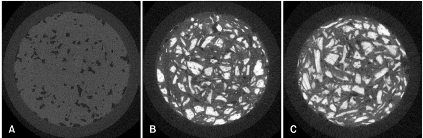 Table 2. Bone parameters of three bone substitutes measured by  image analysis  BMD (g/cm 3 ) BV/TV (%) DBX DB NDDB 0.20 ± 0.03 0.69 ± 0.04*0.65 ± 0.02* 1.23 ± 0.02 90.37 ± 5.34*87.69 ± 6.52*