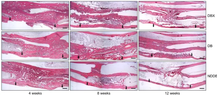 Fig. 7. Measurement of the residual area (mm 2 ) of DBX, DB, and NDDB after implantation