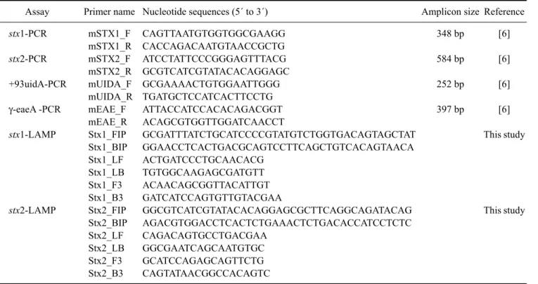 Table 2. Primer sets used for the polymerase chain reaction (PCR) and the loop-mediated isothermal amplification (LAMP) assay  Assay Primer name Nucleotide sequences (5´ to 3´) Amplicon size Reference stx1-PCR stx2-PCR +93uidA-PCR γ-eaeA -PCR stx1-LAMP stx