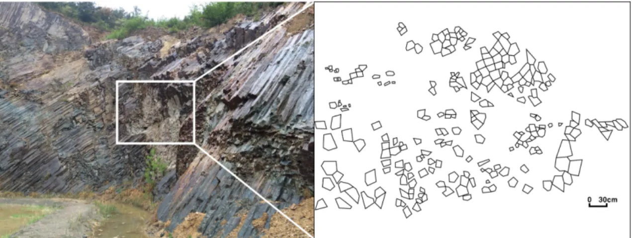 Fig. 19. Frequency (%) of measurement to columnar joints in site ① (Son, 2016).