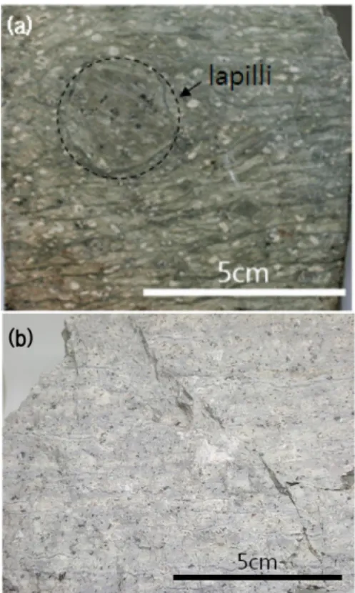 Fig. 2. Photographs of welded tuff in study area (site ①).