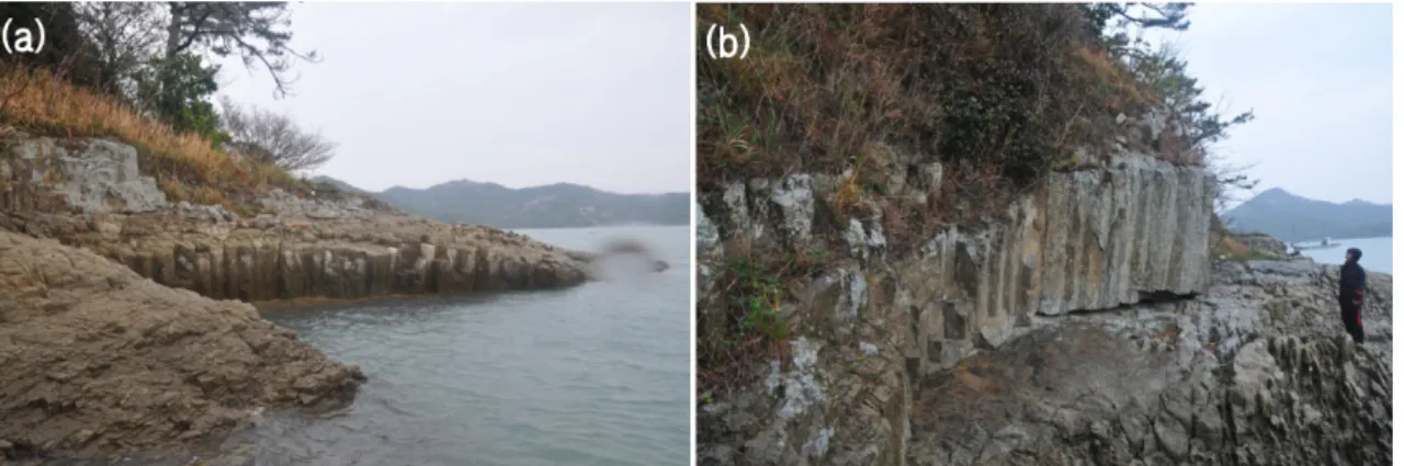 Fig. 12. Photographs columnar joints in site ④.