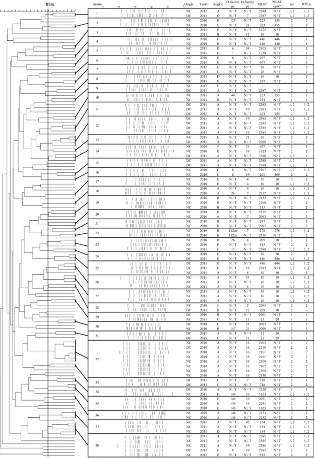 Fig. 1. Characteristics of 38 groups established based on PFGE (XbaI) patterns of 156 STEC isolated from native and dairy cattle in six regions of Korea between 2010 and 2011