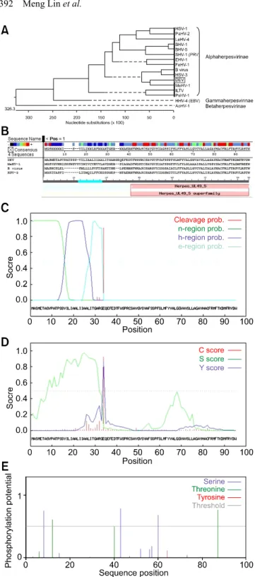 Fig. 3. Phylogenetic analysis and prediction of functional sites in duck enteritis virus (DEV) pUL49.5
