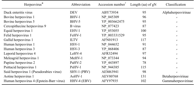 Table 1. Accession numbers of herpesvirus gN sequences used in this study