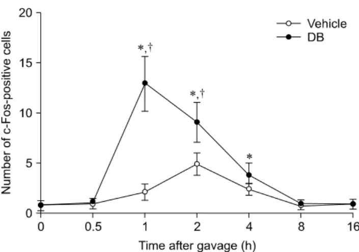 Fig. 1. c-Fos-specific immunohistochemistry in the area  postrema (AP) and nucleus tractus solitarius (NTS) of rats at 0  (A), 0.5 (B), 1 (C), 2 (D), 4 (E), 8 (F), and 16 h (G) after gavage with distilled water