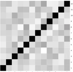 Figure 4.5. Estimated correlation matrix for precipitation data over Korea.
