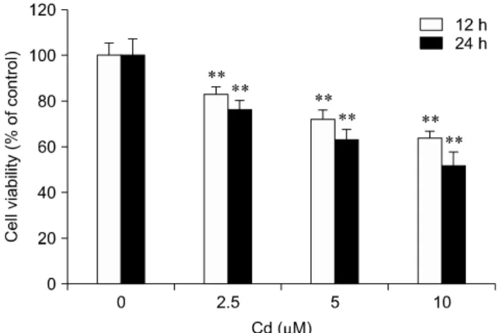Fig. 1. Effect of cadmium (Cd) on the viability of rat hepatocytes.