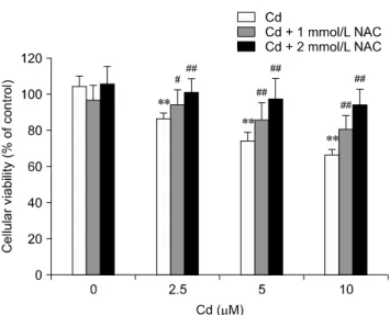 Fig. 7. Inhibitory effect of NAC on Cd-induced ROS generation (as monitored by DCF fluorescence)