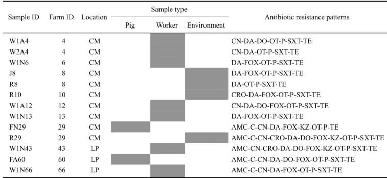 Fig. 1. SCCmec-specific multiplex PCR results for worker, pig,  and environment samples