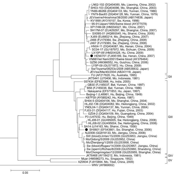 Fig. 1. Neighbor-joining phylogenetic tree for JEV envelope genes rooted with the West Nile virus (WNV) strain Mex03