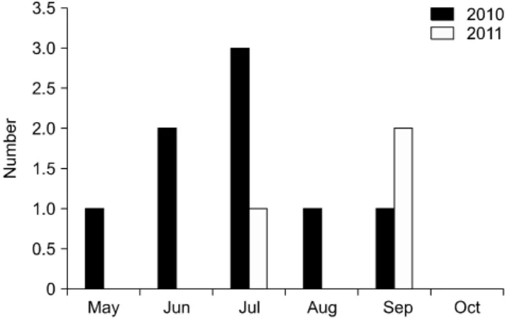 Fig. 3. Detection of Akabane virus genes in four Culicoides spp. 