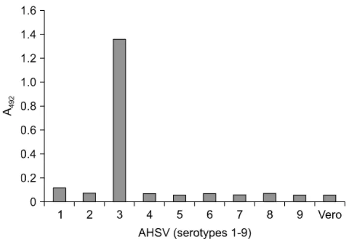Fig. 1. Serotype-specific detection of African horsesickness  virus (AHSV)-3 in a double antibody sandwich enzyme-linked  immunosorbent assay (DAS-ELISA) using the phage-displayed  single-chain variable fragment (scFv) Lca12