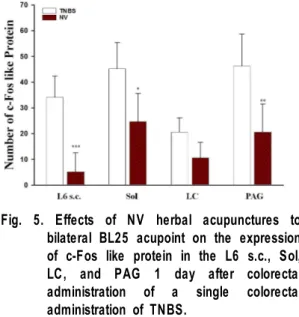 Fig.  6.  Representative  photographs  illustrating  the  effects  of  NV  herbal  acupunctures  on  the  expression  of  c-Fos  like  protein  in  the  L6  s.c.,  Sol,  LC,  and  PAG  1  day  after  colorectal  administration  of  a  single  colorectal  a