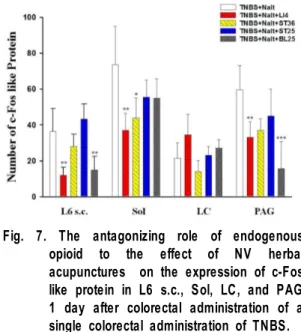 Fig.  7.  The  antagonizing  role  of  endogenous  opioid  to  the  effect  of  NV  herbal  acupunctures    on  the  expression  of  c-Fos  like  protein  in  L6  s.c.,  Sol,  LC,  and  PAG   1  day  after  colorectal  administration  of  a  single  colore