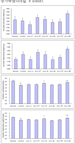 Fig. 8. Effects of acupuncture techniques by needle manipulation at 4 acupoints to sedate six fu-organ on the kidney weight (upper:absolute, lower:relative) in hyperlipemia rats