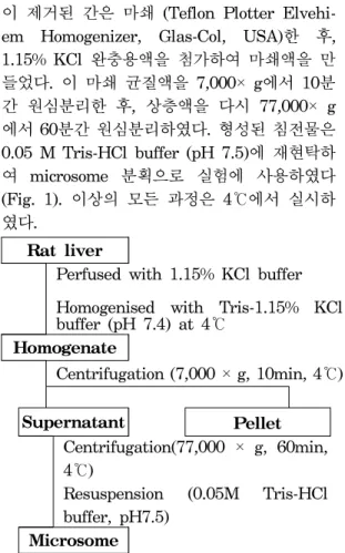Fig. 1. Preparation  of  microsomal  fraction  from  rat  liver. 